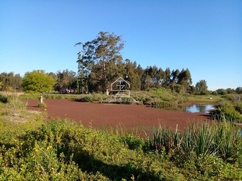 Chacra en La Pataia con mejoras