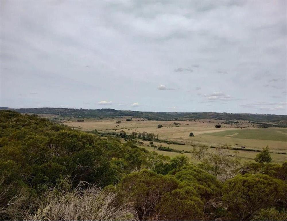 Terreno sobre Ruta 8 con Agua Natural y Proyecto Turístic