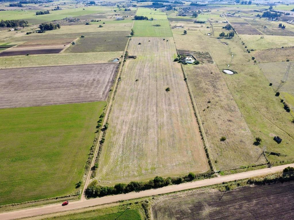 VENTA CAMPO 9,4 HAS LOS CERRILLOS, CANELONES