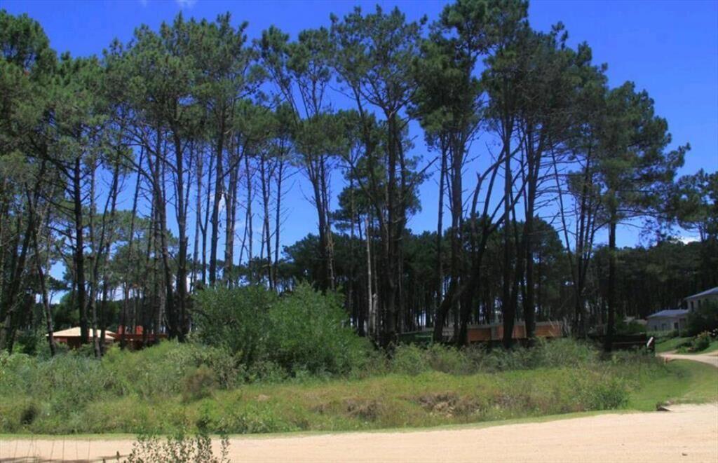 VENTA DE LOTE EN BARRIO PRIVADO LAGUNA BLANCA LA BARRA