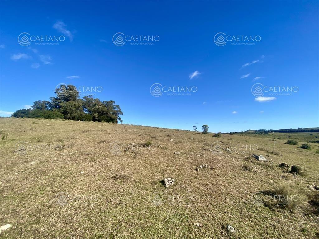 Venta chacra 5 hectáreas. Camino del Olivo,