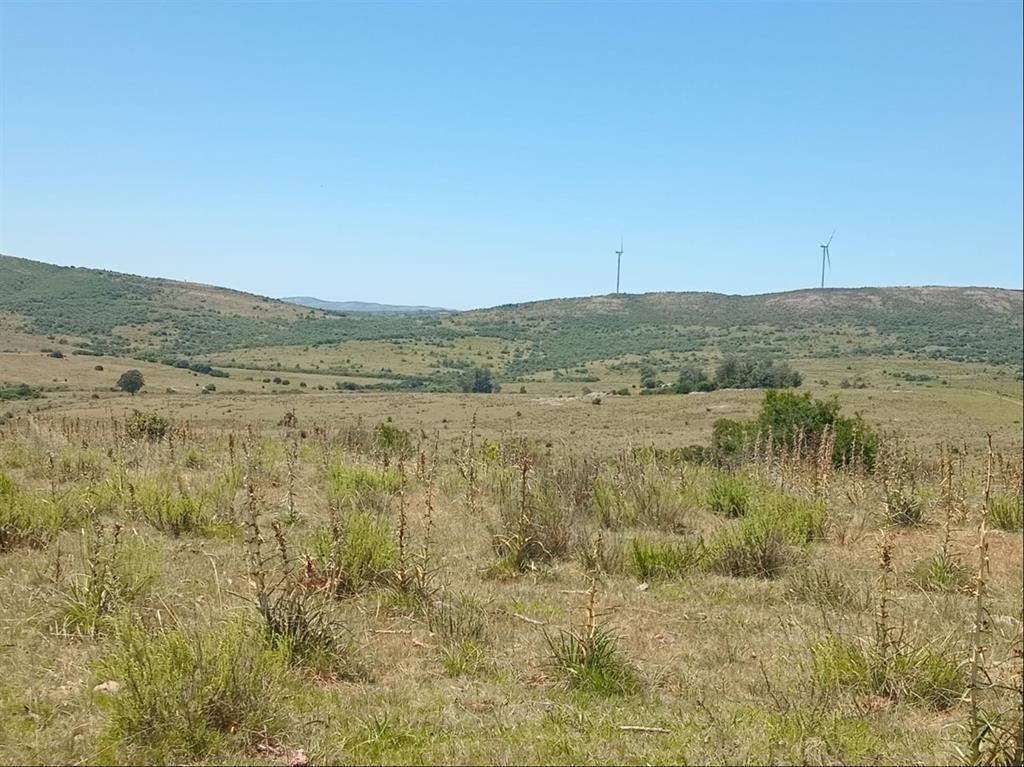 CAMPO EN VENTA - SIERRAS DEL CARAPE - MALDONADO