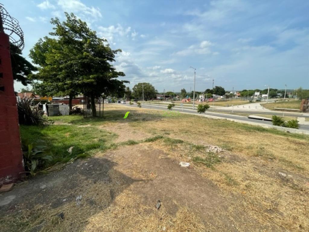 TERRENO DE 981 METROS SOBRE AVENIDA CIBILS PROX A CARLOS M