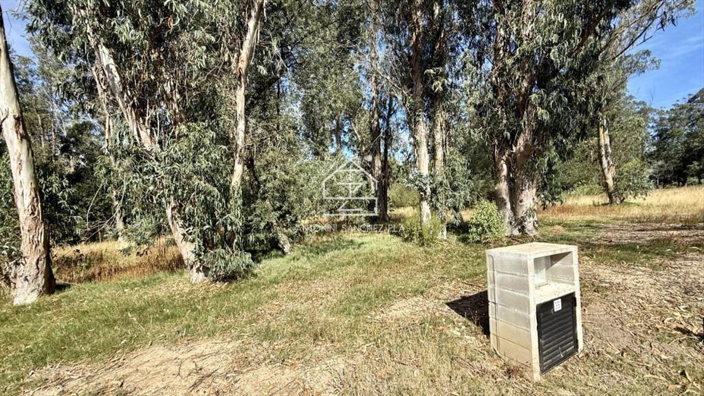 VENTA TERRENO MANGRULLOS EL CHORRO LA BARRA PUNTA