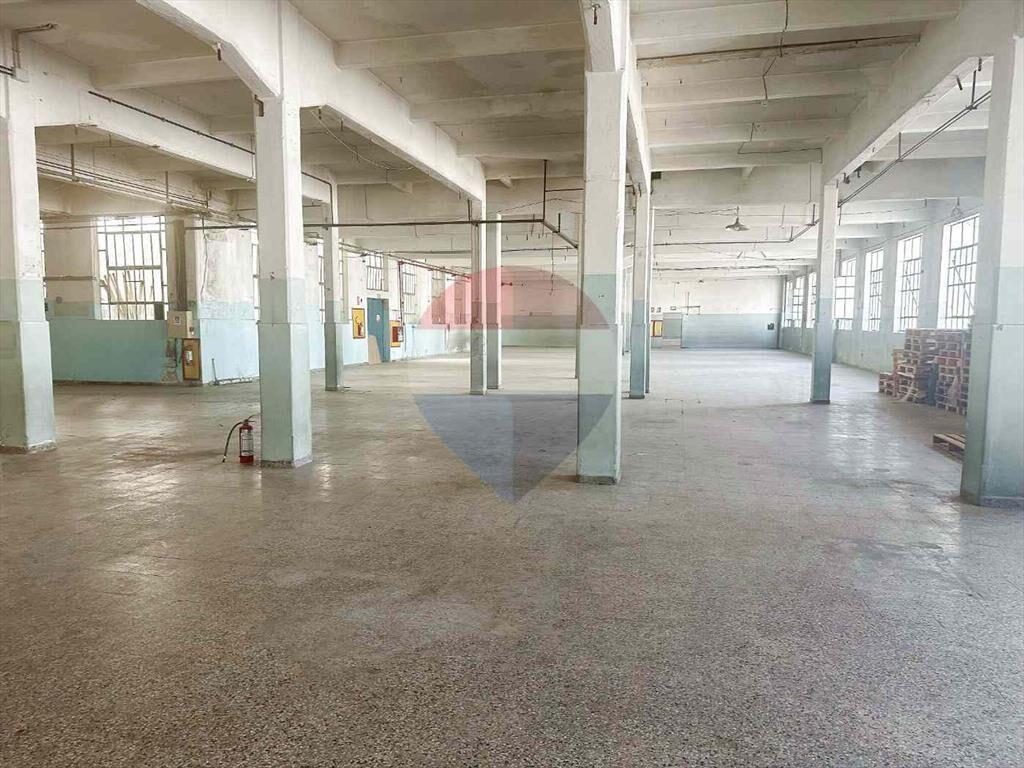 ALQUILER DE DEPÓSITOS VILLA ESPAÑOLA