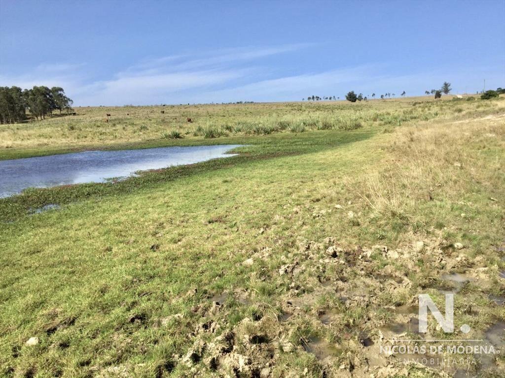 Campo productivo en zona José Ignacio