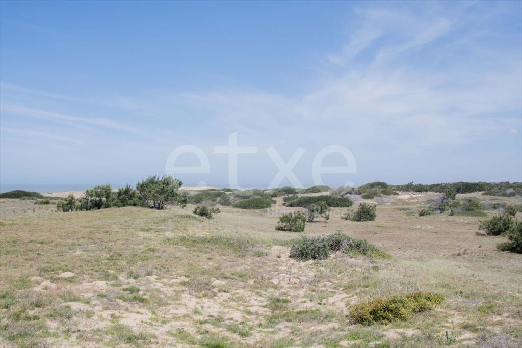 Terreno en Venta Vista al Mar San Antonio Rocha...