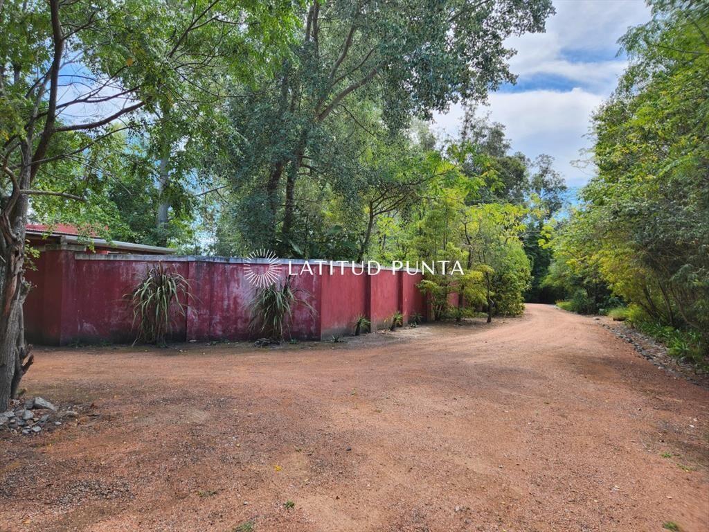 Venta chacra tipo quinta, Punta Ballena