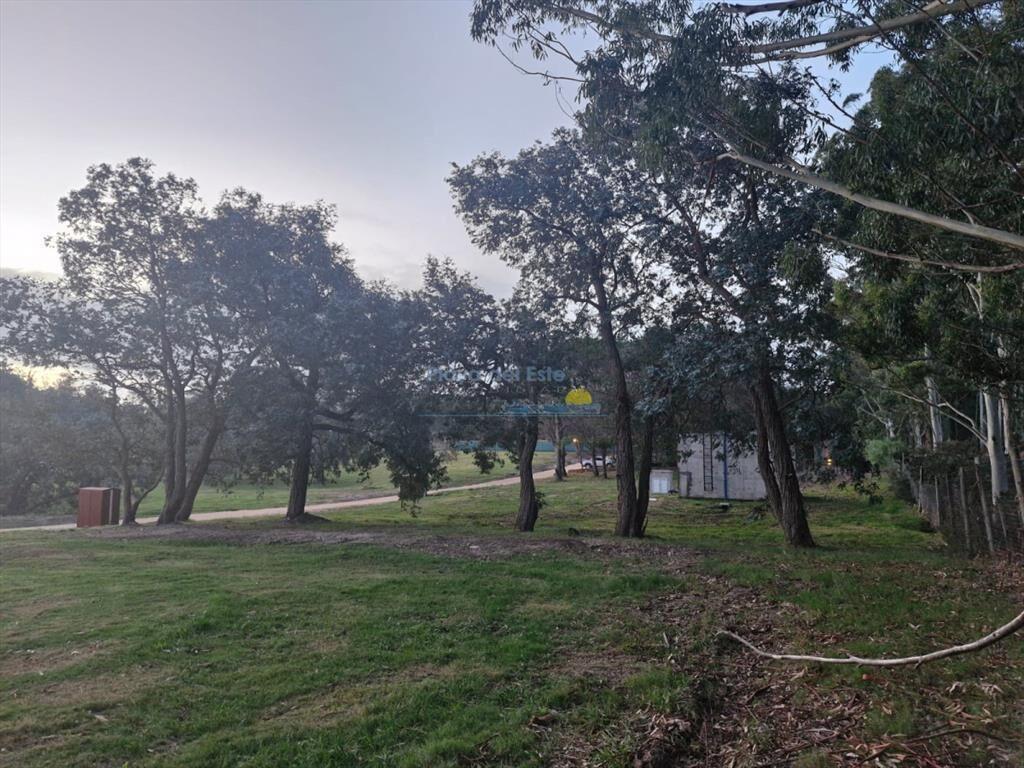 TERRENO EN DON MIGUEL
