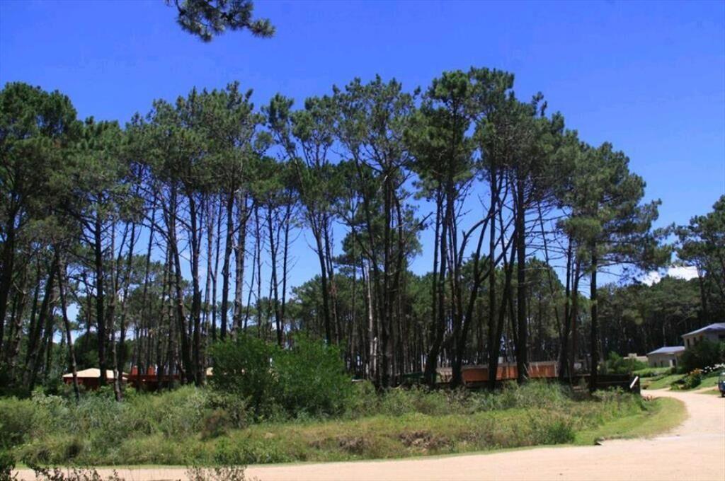 VENTA DE LOTE EN BARRIO PRIVADO LAGUNA BLANCA LA BARRA