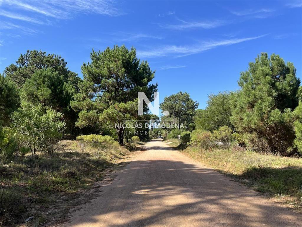 Terreno en venta en La Barra, rodeado de bellos