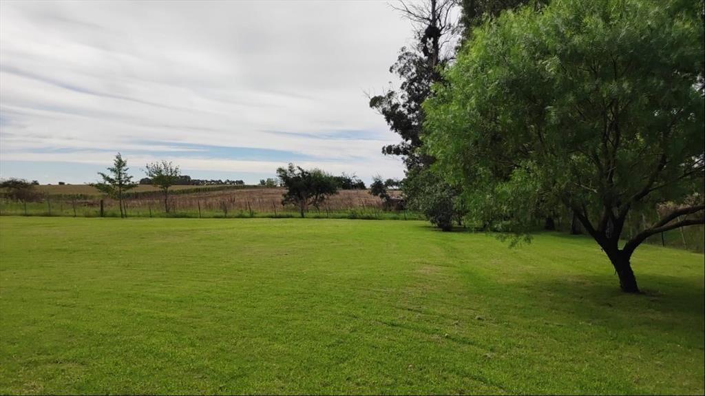 Oportunidad única: chacra de 6 ha con piscina y 6 dormitori