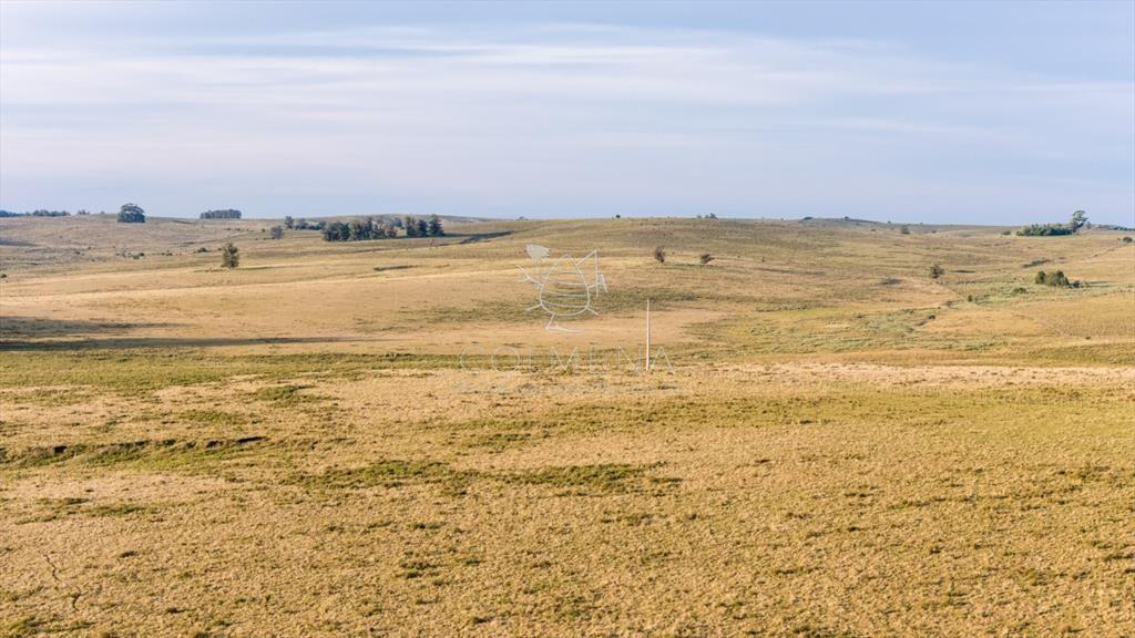 Venta campo 120 hectáreas, Garzón , Maldonado