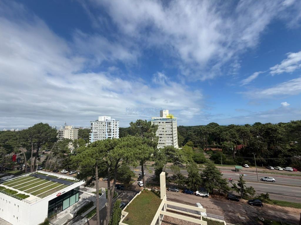 Apartamento en alquiler de 1 dormitorio en Punta