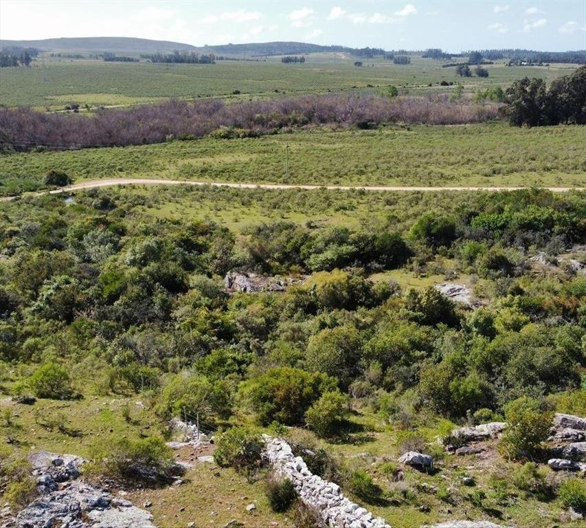Venta Campo 17 ha sobre la Laguna del Sauce Punta del Este