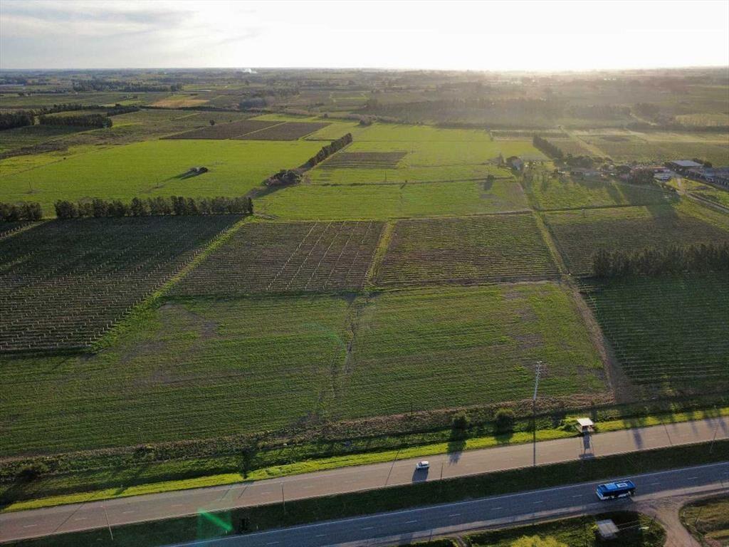 VENTA PREDIO RURAL 60 HÁS SOBRE RUTA 5