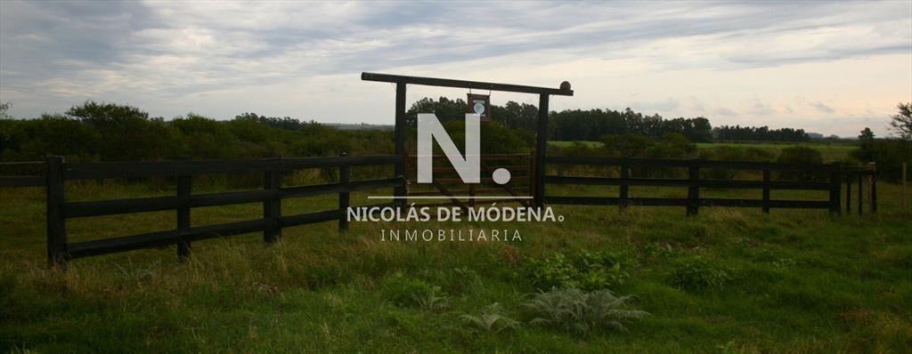 Venta de Chacra en Boca del Rosario, Colonia