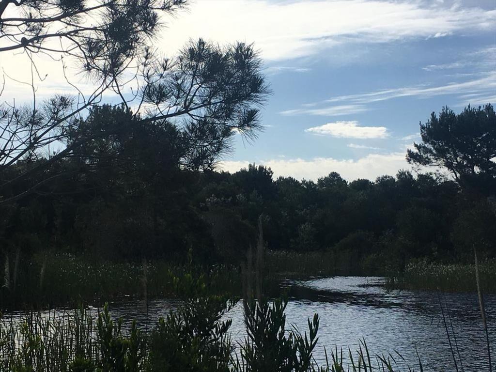 LOTE EN VENTA LA PEDRERA ROCHA
