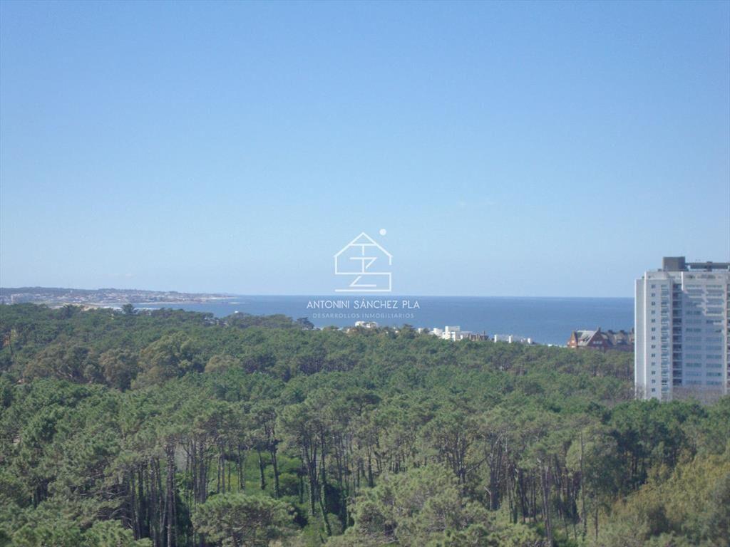 APARTAMENTO EN TORRE CON TODOS LOS SERVICIOS. A METROS DE P