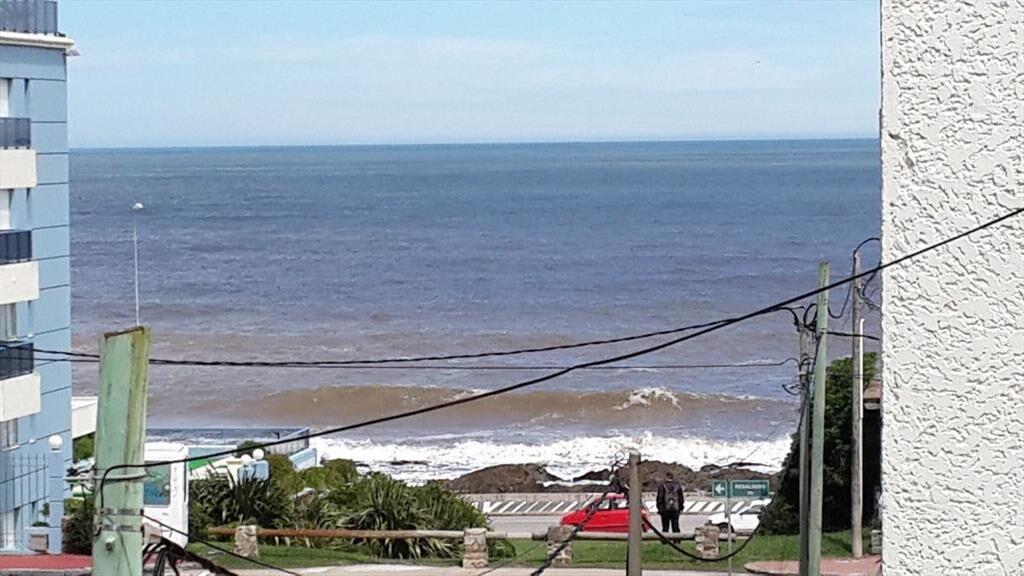 Vendo apartamento 2 dormitorios con gran terraza y parrille