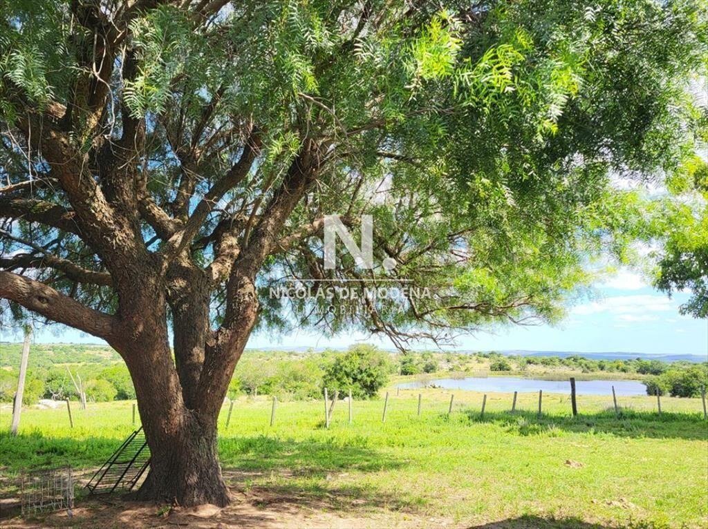 Vende Campo en Lavalleja de 1075 con casa y de