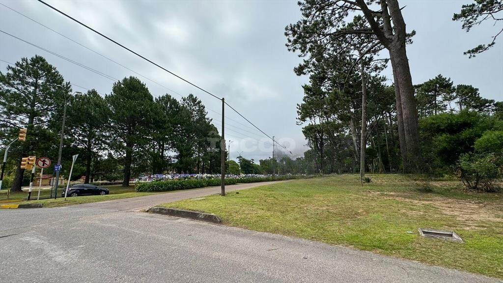 2 TERRENOS CON EXCELENTE UBICACIÓN EN PUNTA DEL ESTE