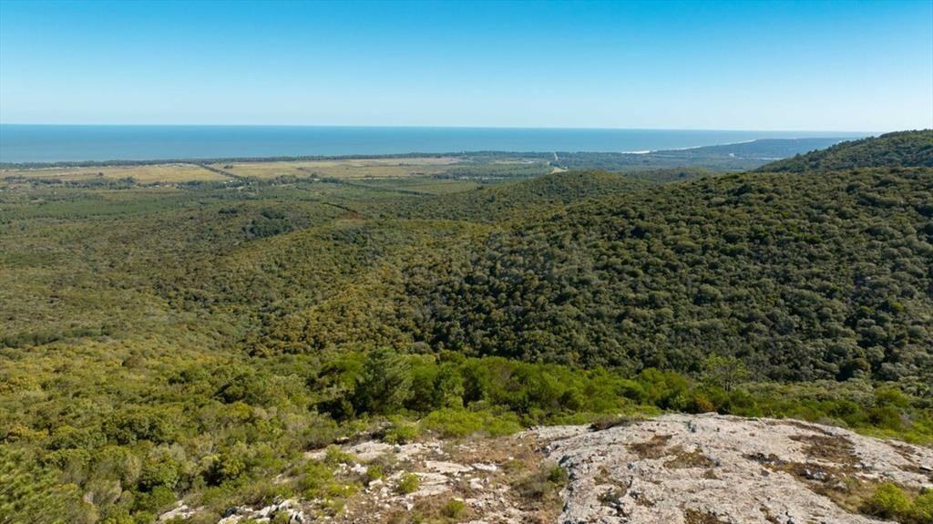 Campo en Venta en Sierra de las Ánimas, Ladera sur