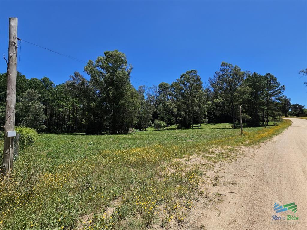 En venta chacra de 1 hectarea en Laguna del Punta