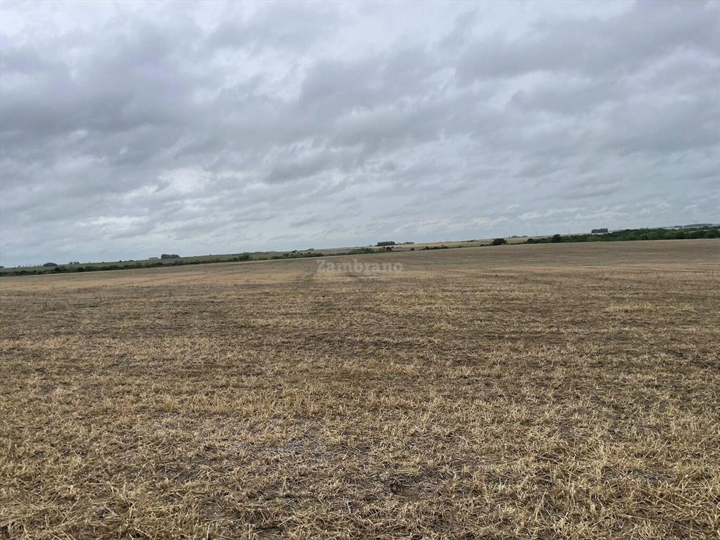 Estancia Agrícola Ganadera en Flores