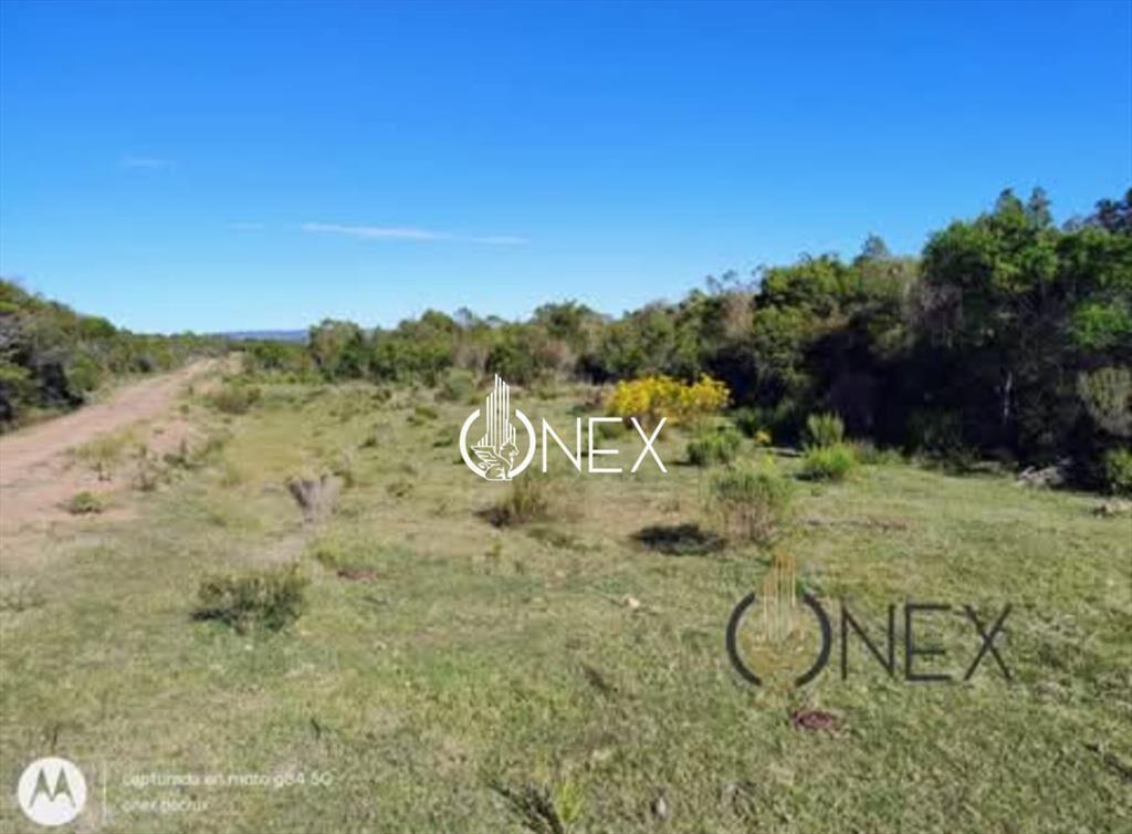 Oportunidad Venta de chacra de 7.8 Hectáreas en
