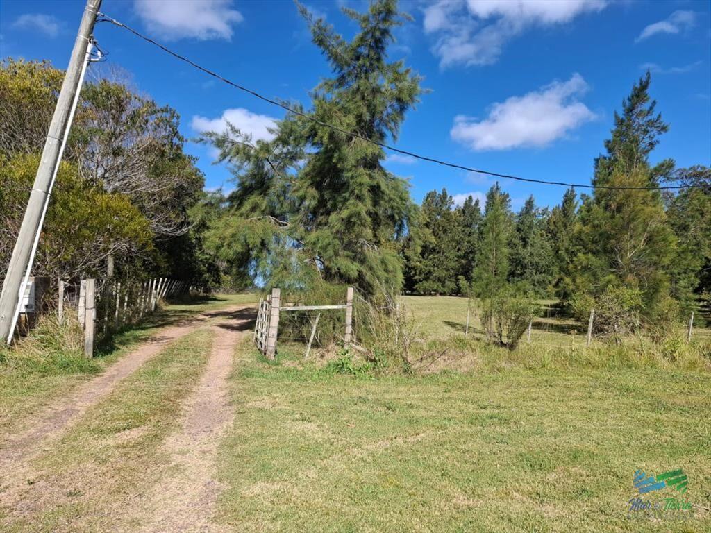 Hermosa chacra a 25 kilometros de Punta del ESte