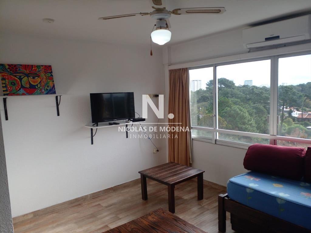 Av Roosevelt, 1 dormitorio, Punta del este