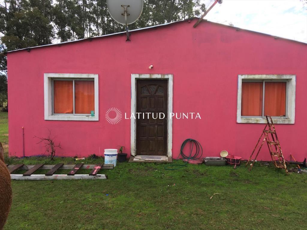 Chacra en La Pataia, Punta Ballena