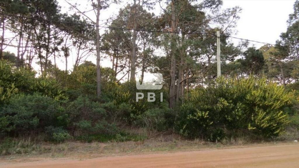 Terreno en venta Chihuahua - Ref : PBI906