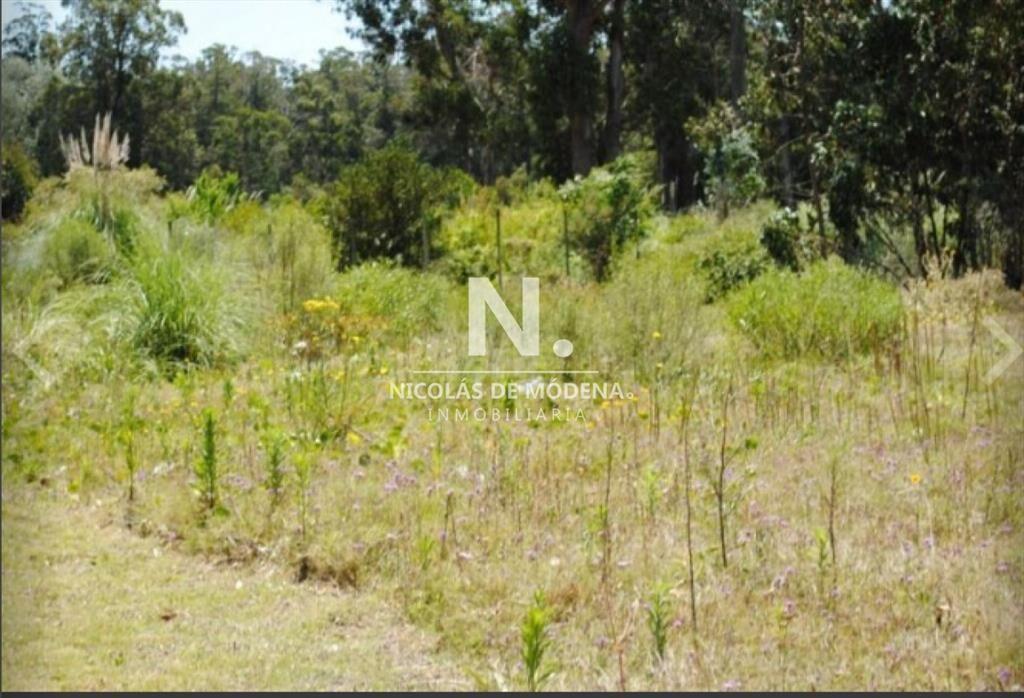 Terreno en venta en Golf Punta del Este