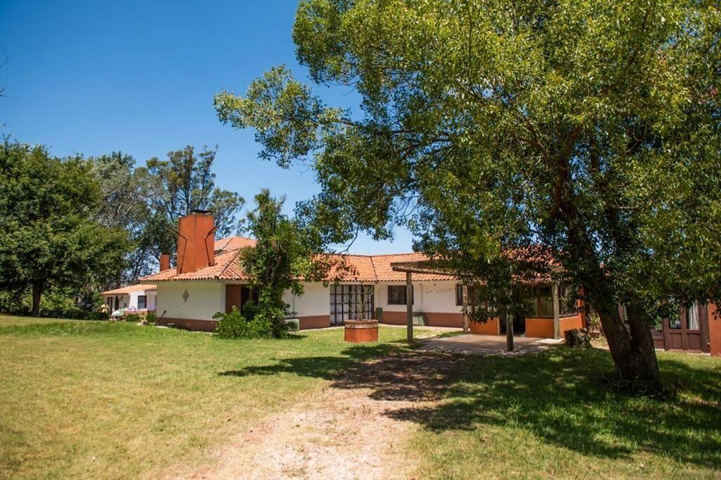 Chacra 20 hectáreas, en venta en laguna del sauce