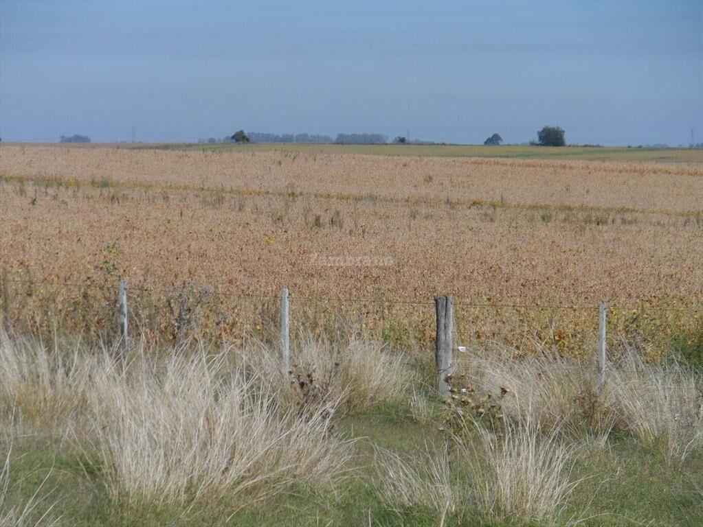 Estancia Agricola Ganadera 1600 ha en Paysandú