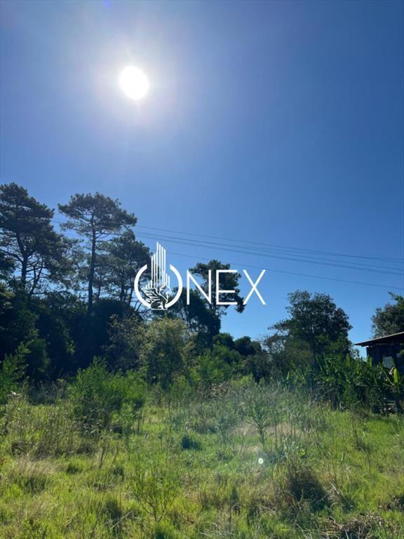 SE VENDE TERRENO EN OCEAN PARK