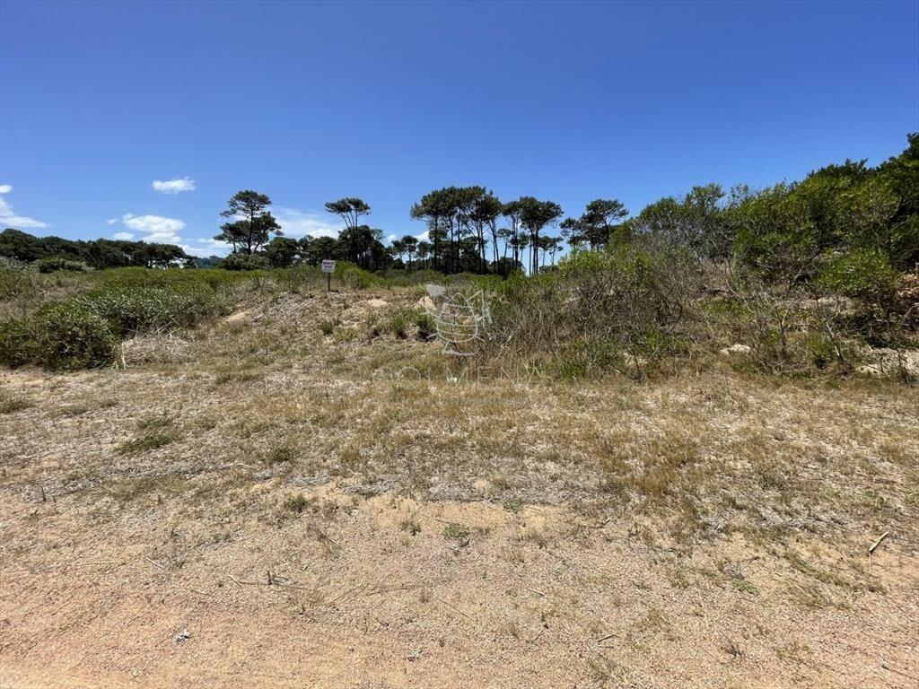 Terreno de 1050 m2 en chihuahua cerca de la