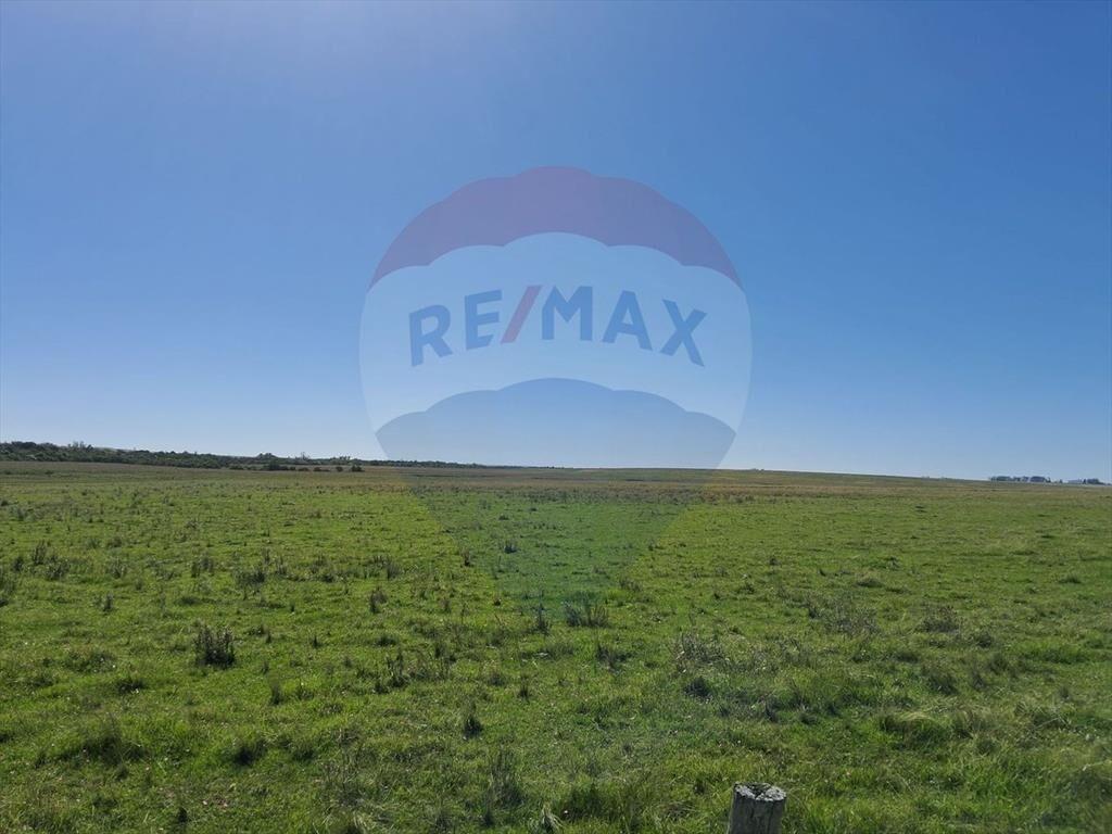Venta Campo Río Negro - Ganadero Agrícola 350 has