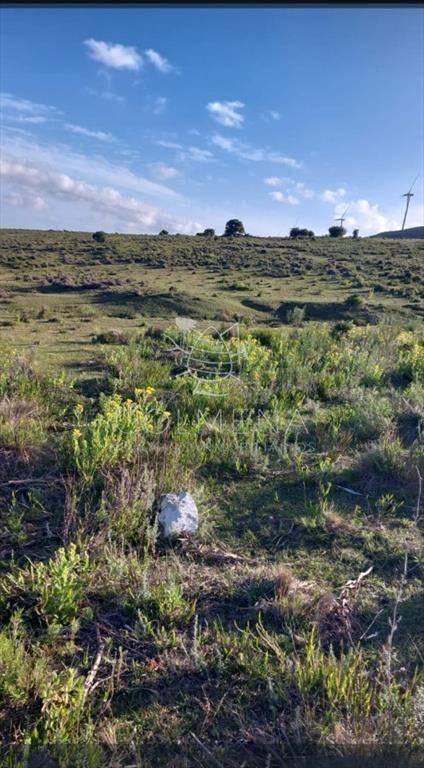 Campos de 6 y 5 has en los Caracoles 35 minutos