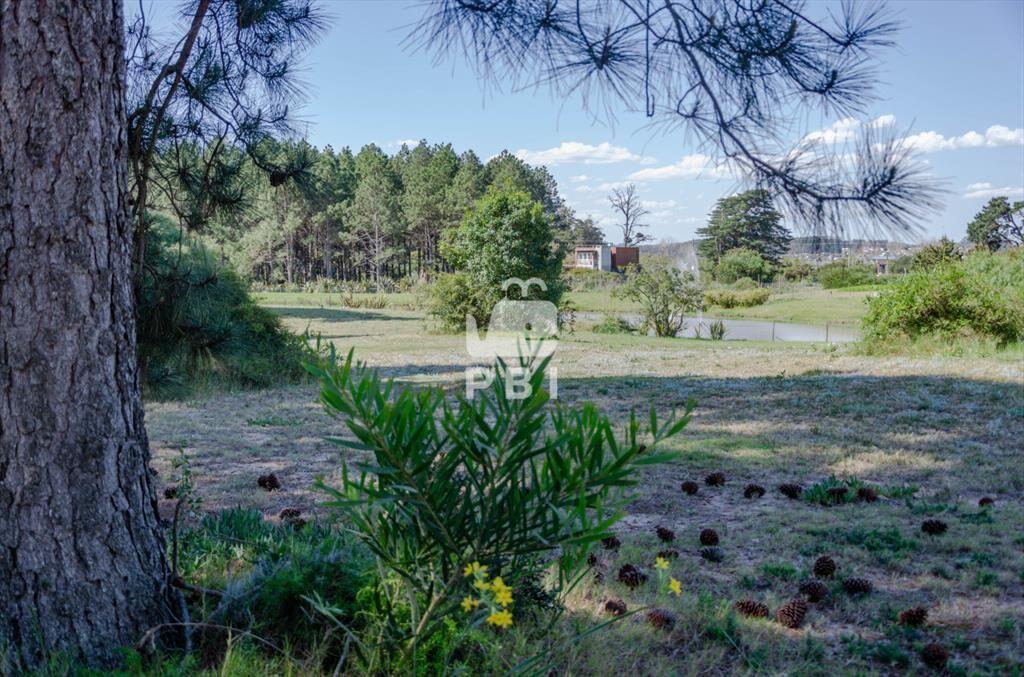 Venta de Terreno en Piedras del Chileno, Punta -