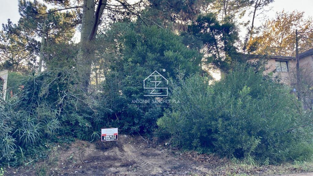 Lindo lote en venta en Pinares apto para