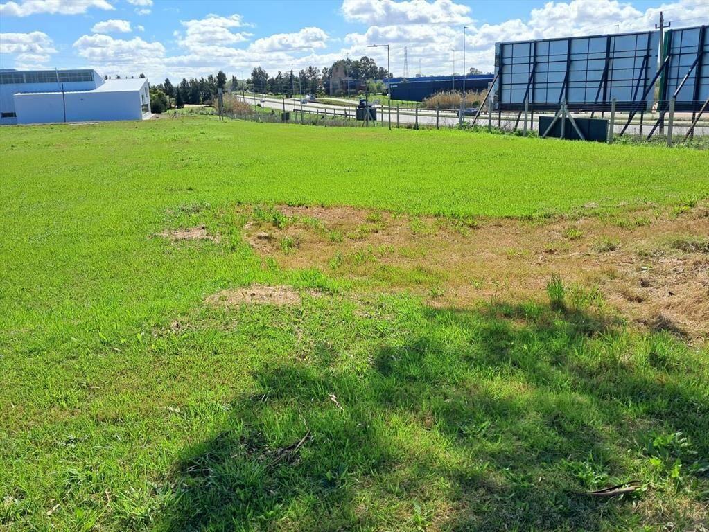 Polo San Juan, lote esquinero con frente a Ruta 101