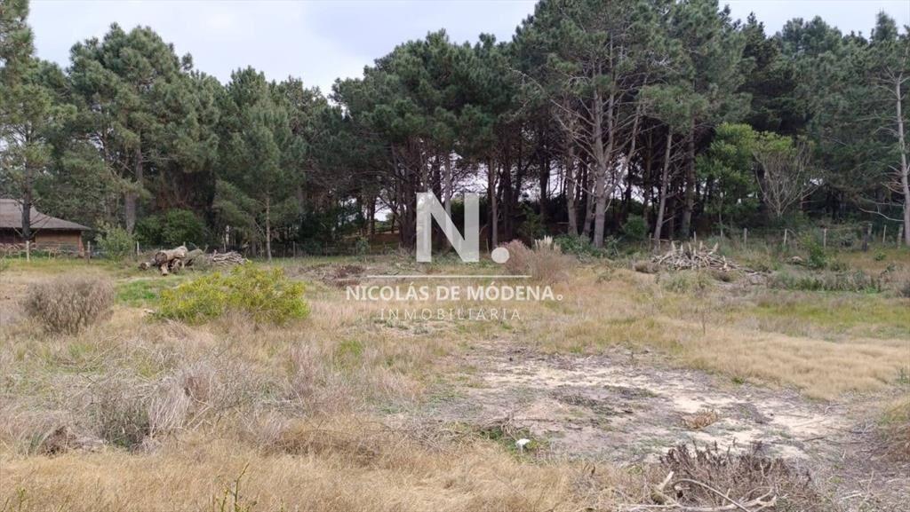 Vende terreno en Faro de Jose Ignacio, 2 lotes