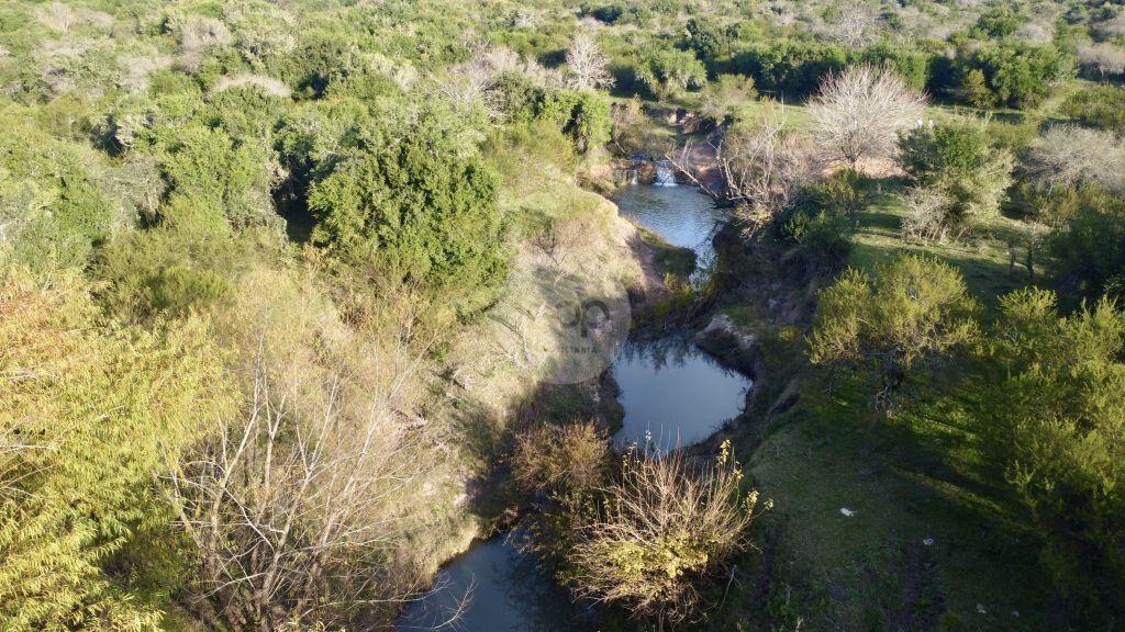 Venta de Campo en Soriano de 264ha, zona del Cololo