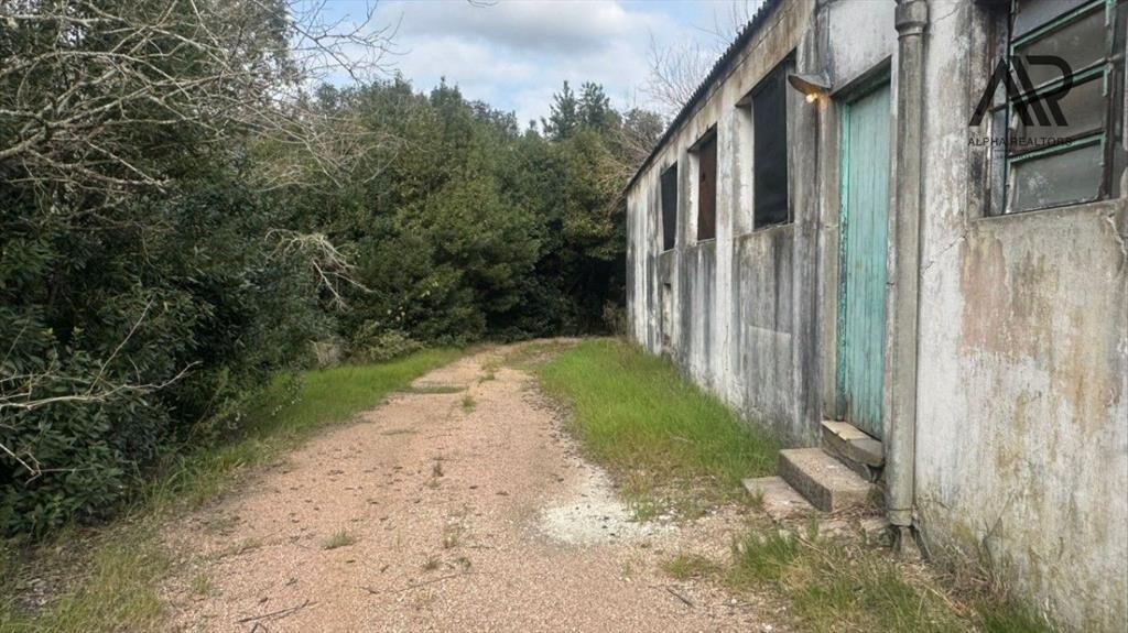 Quinta en venta de 8007m2 ubicado en Melilla