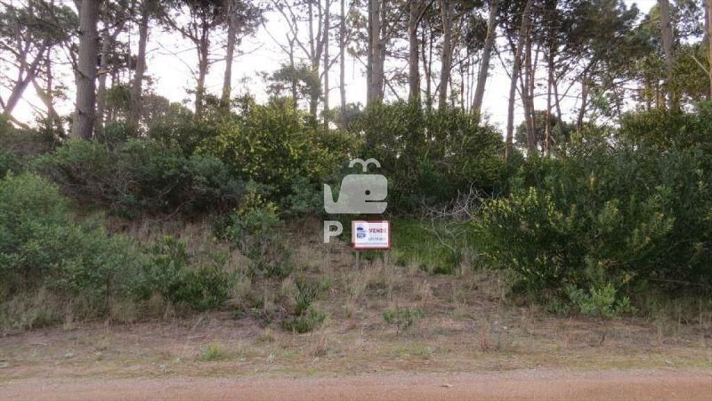 Terreno en venta Chihuahua - Ref : PBI904