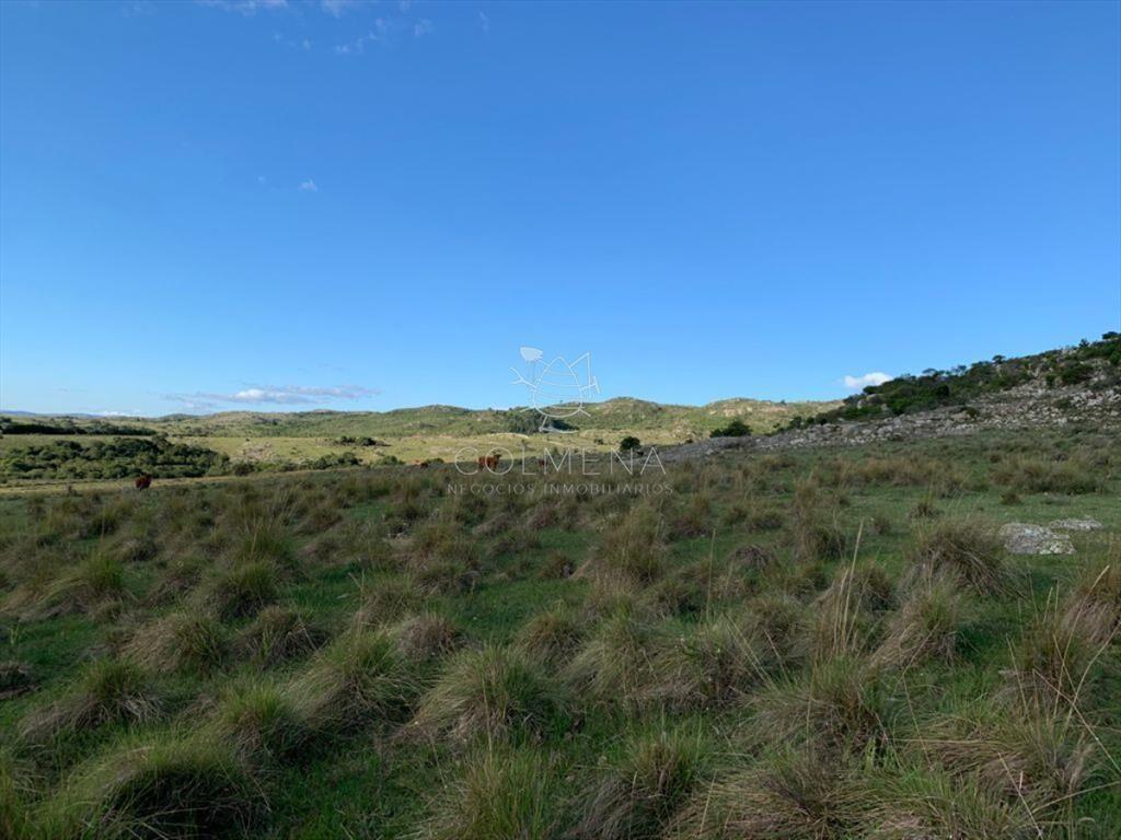 Campo cerca ruta 39 en las Cañas