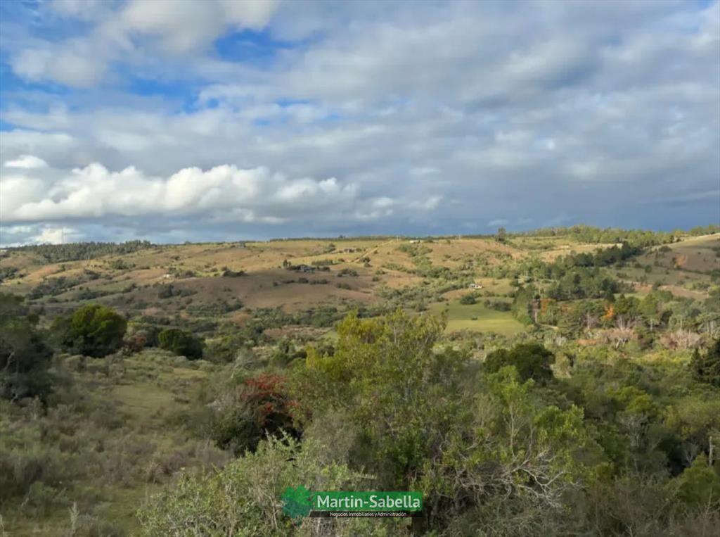 Campo en Venta - Lavalleja
